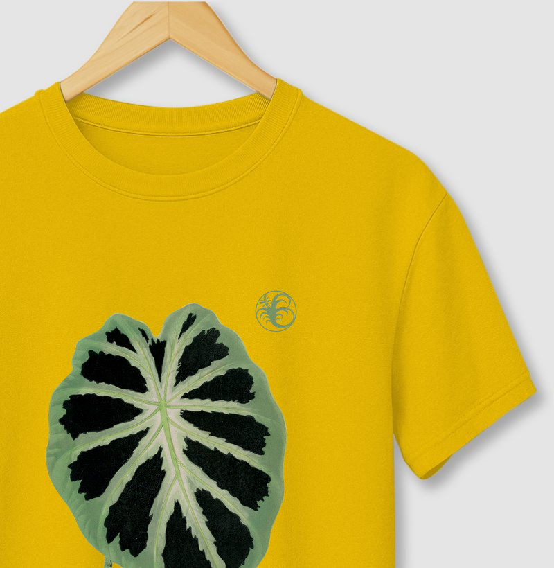 ALOCASIA I