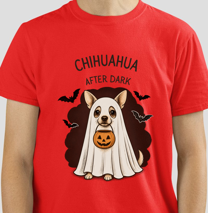 Chihuahua after dark 