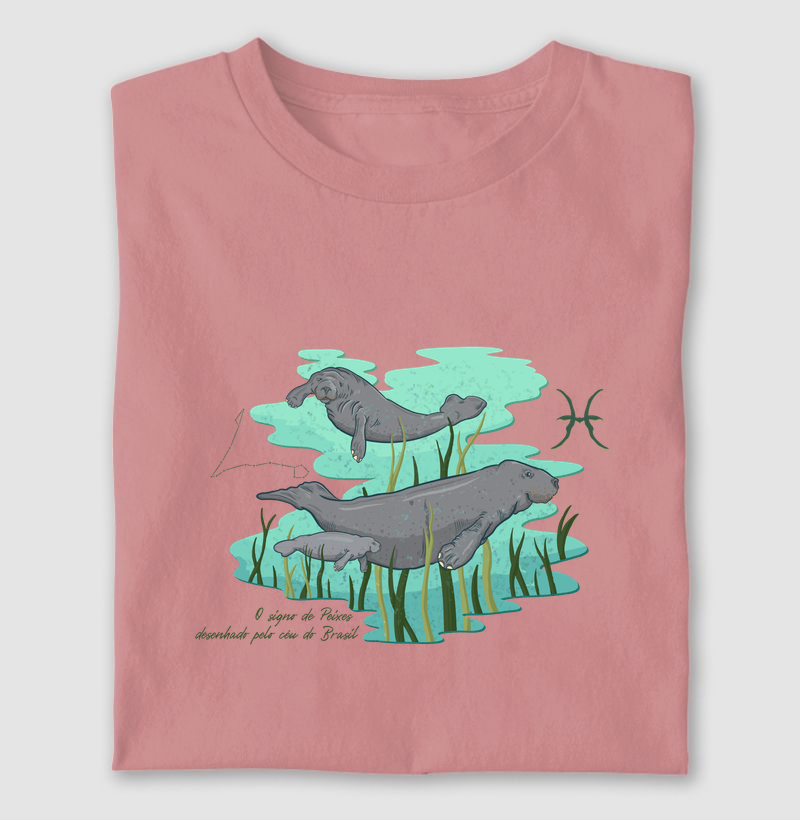 Peixes pelo céu do Brasil