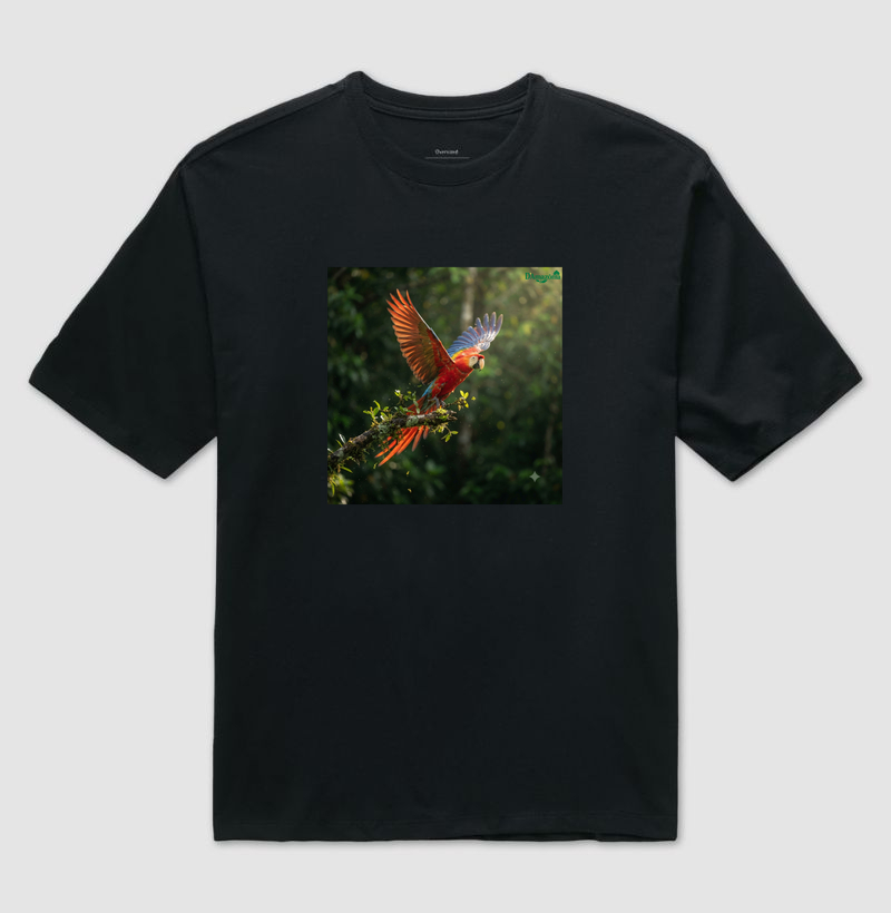 O voo da Arara