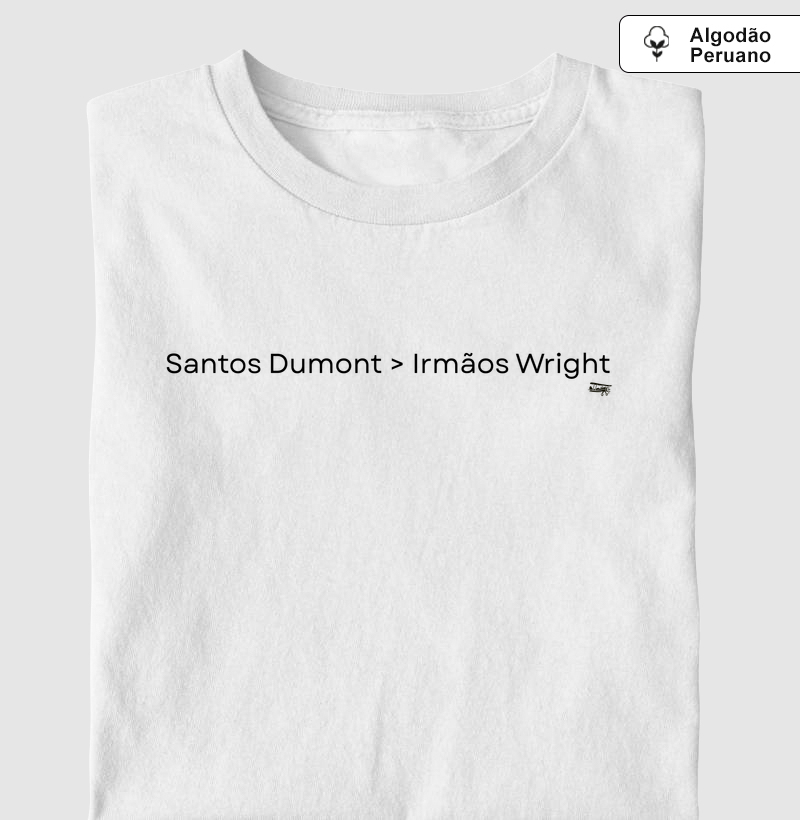 Santos Dumont > Irmãos Wright