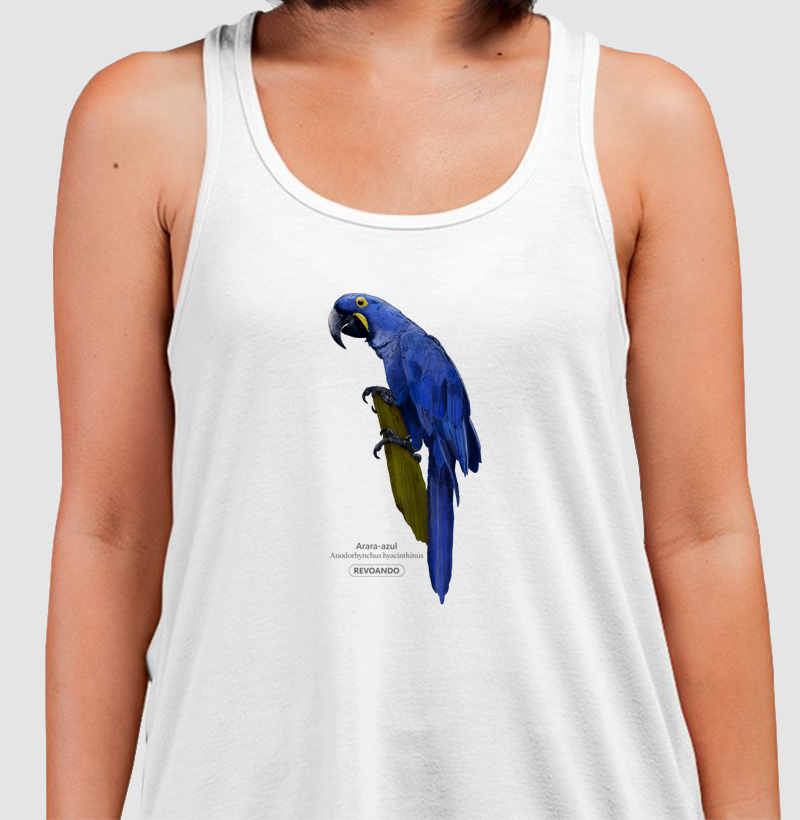 Aves do Brasil - Arara-azul - Regata