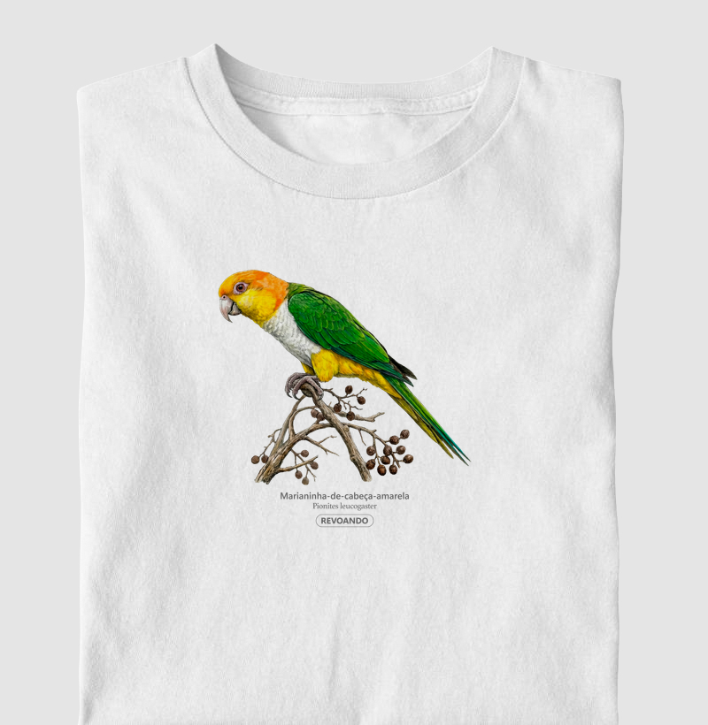 Traços Alados - Marianinha-cabeça-amarela - Infantil