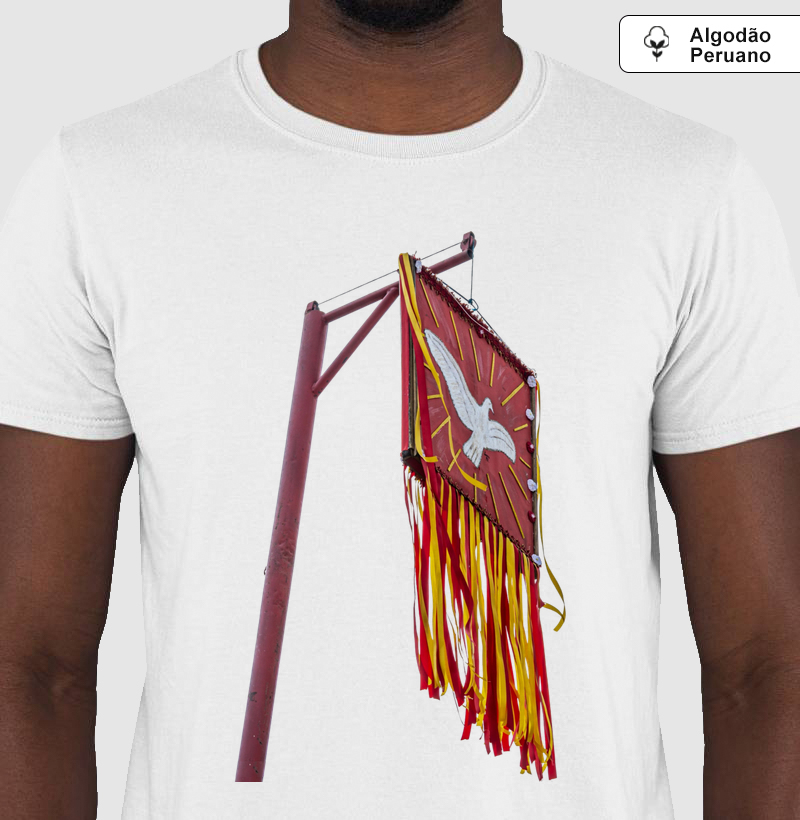 Festa do Divino de Turmalina 2026