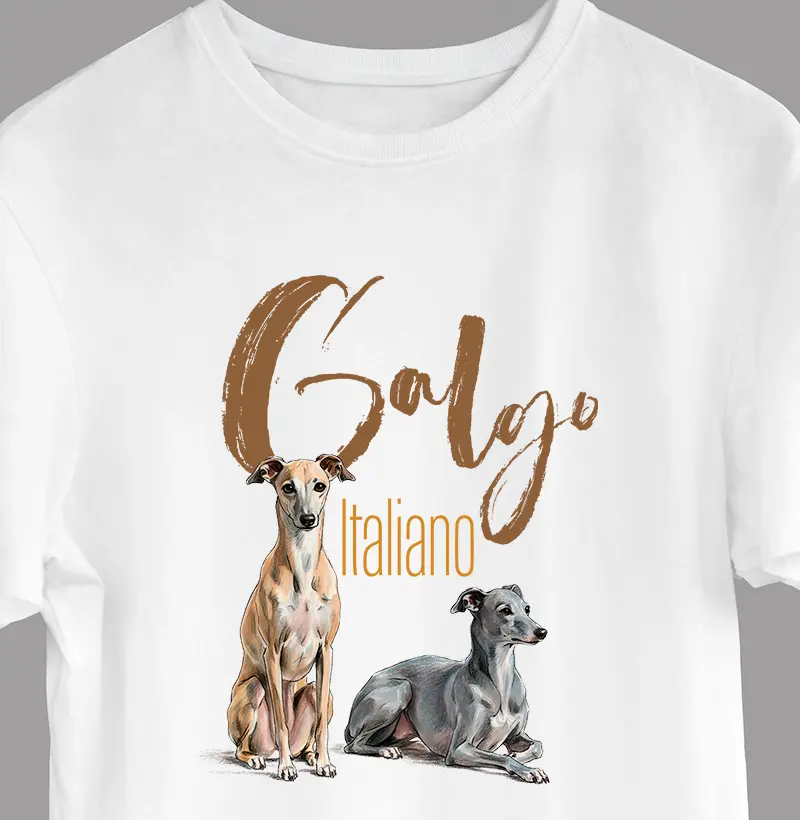 Galgo italiano