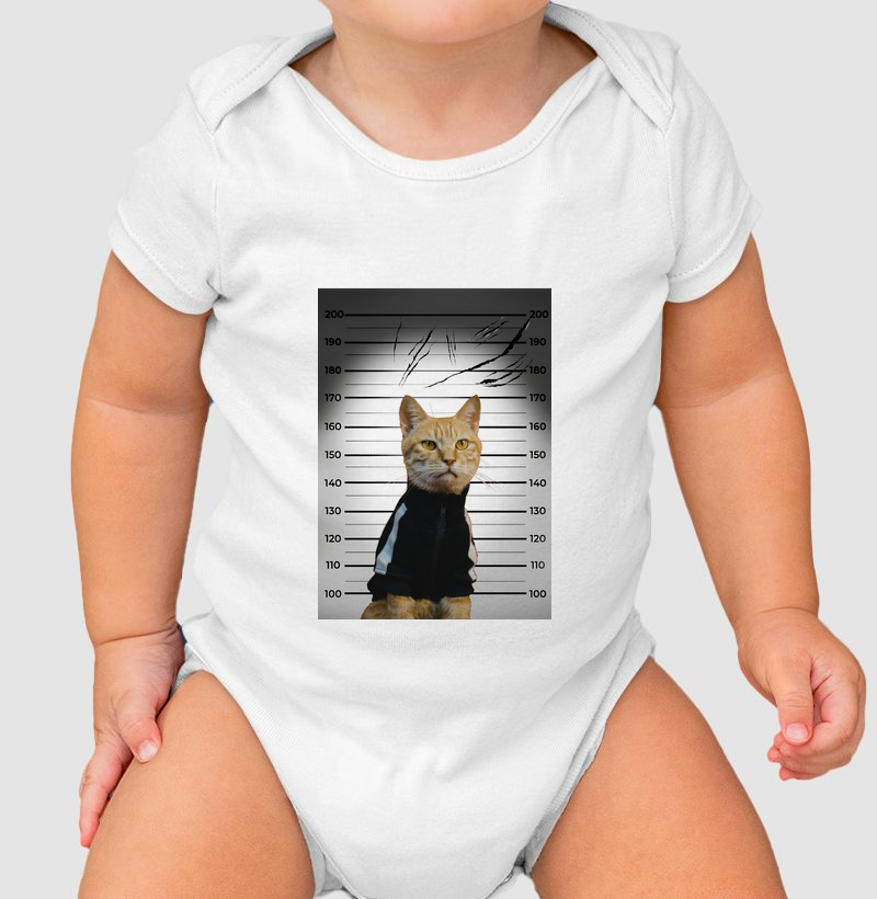 SUSPEITO DE ARRANHAR SOFÁ