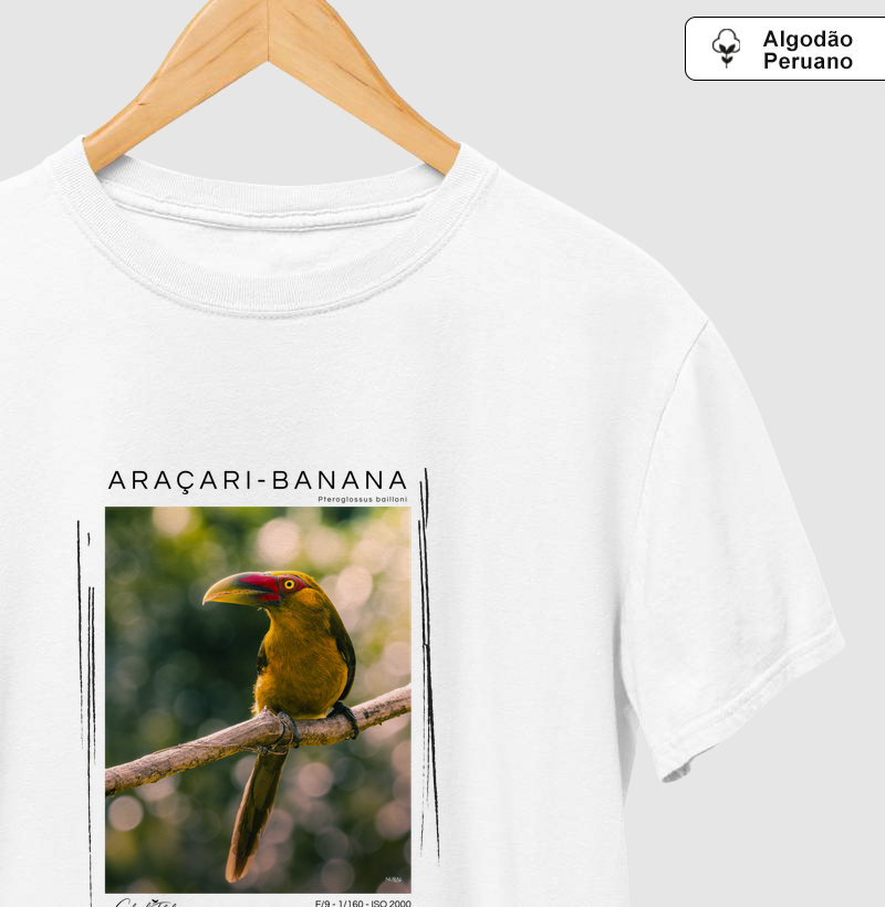Araçari - Banana