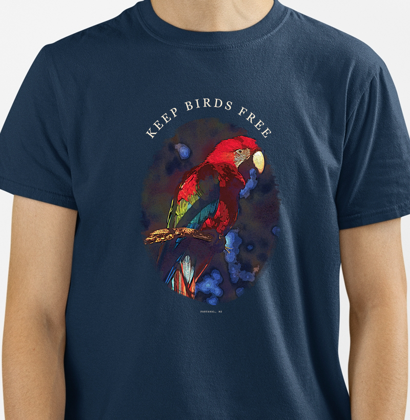 Keep Birds Free