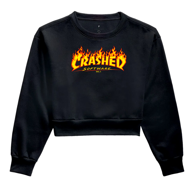 Crashed Software