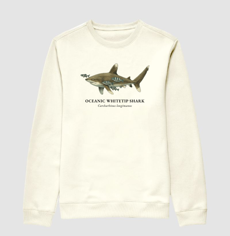 Oceanic Whitetip Shark