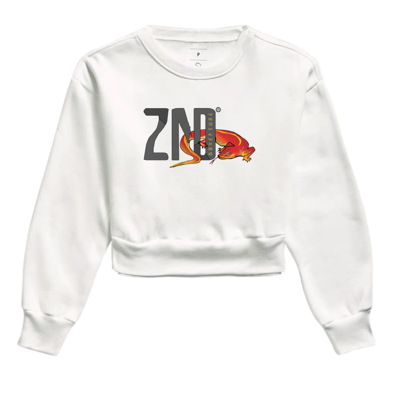 74 ZND - Logo