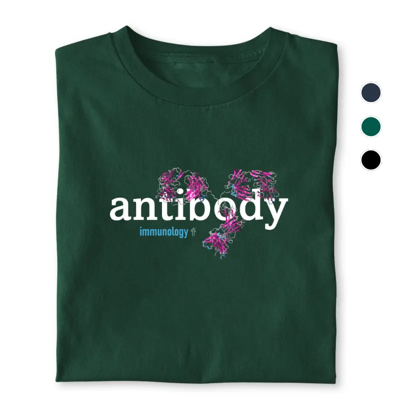 Antibody