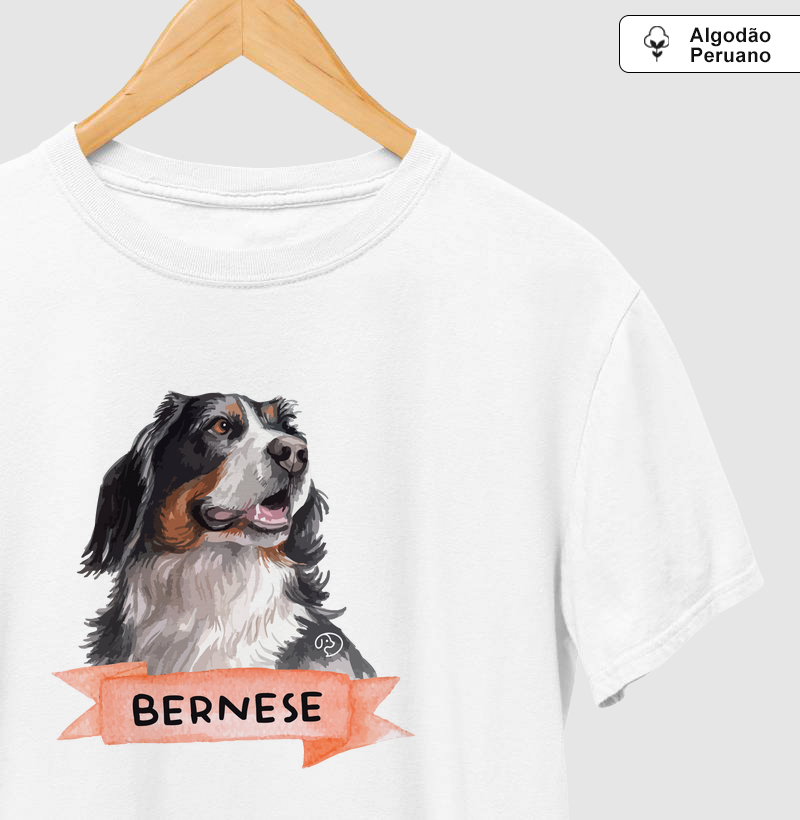 Bernese Fita