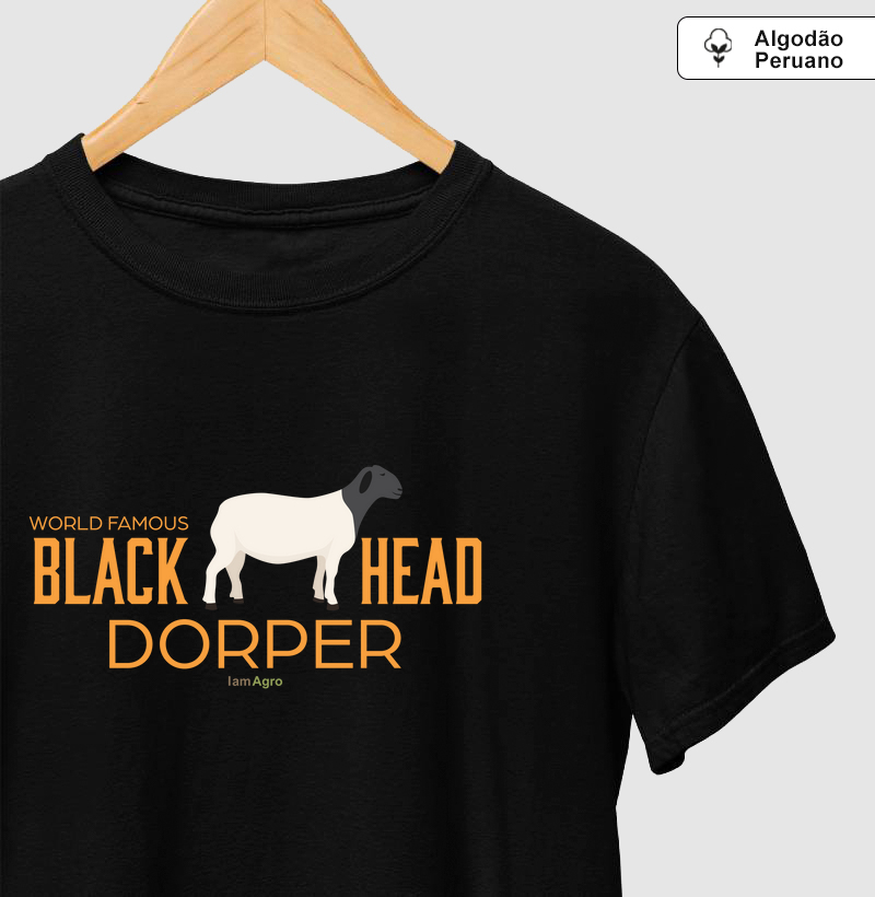Camista carneiro Dorper