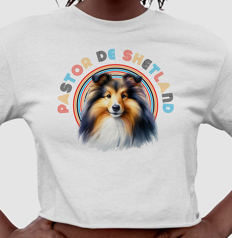 Pastor de Shetland Colorida