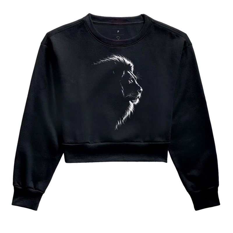 Lion in the dim light