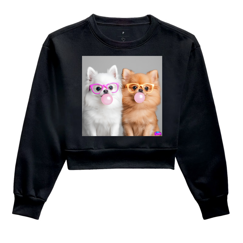 Dupla de Dois Chiclete