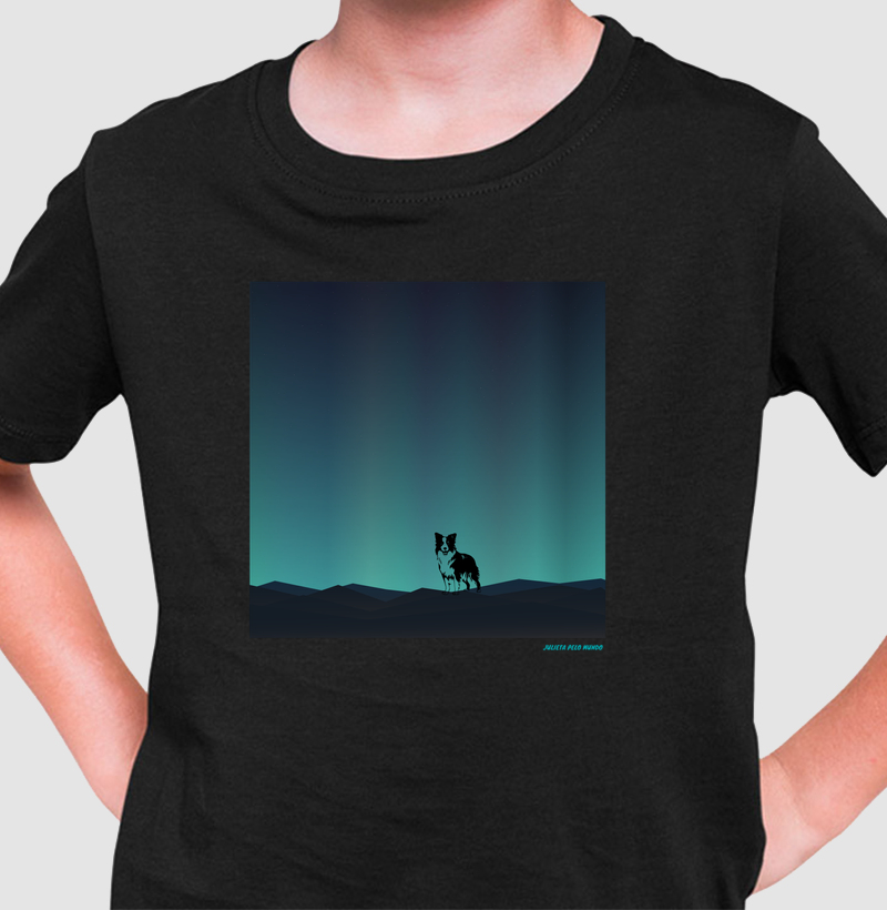 Aurora Border Collie