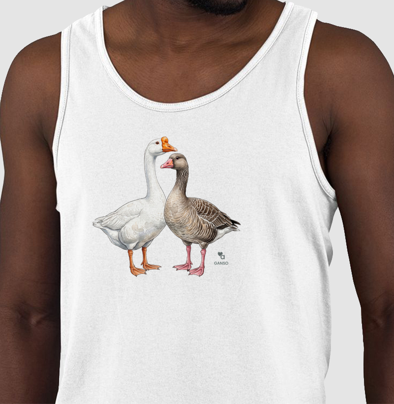 Aves - Gansos - Regata