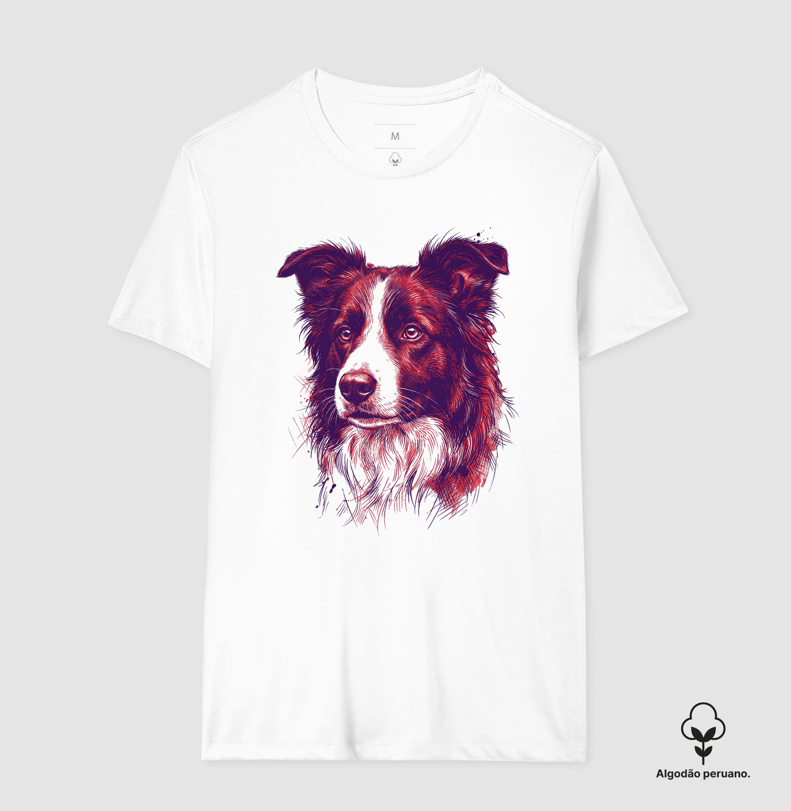 Terra Gaúcha - O Border Collie