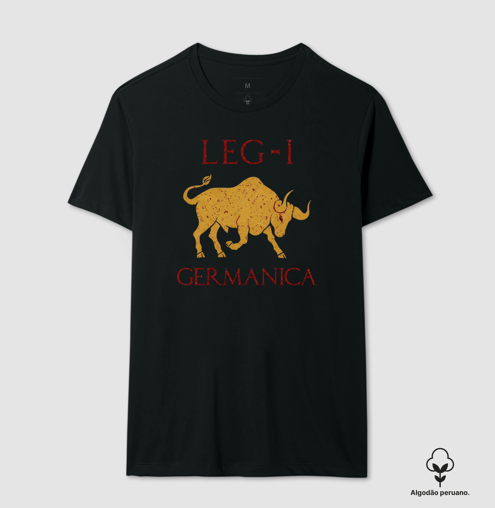 LEGIO — I Germanica