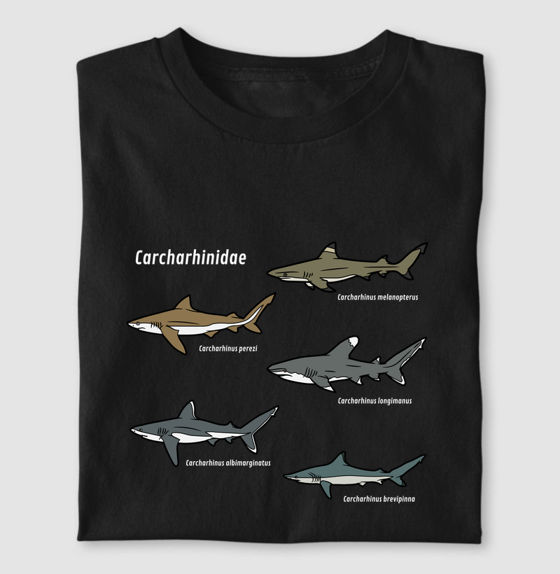 Carcharhinidae