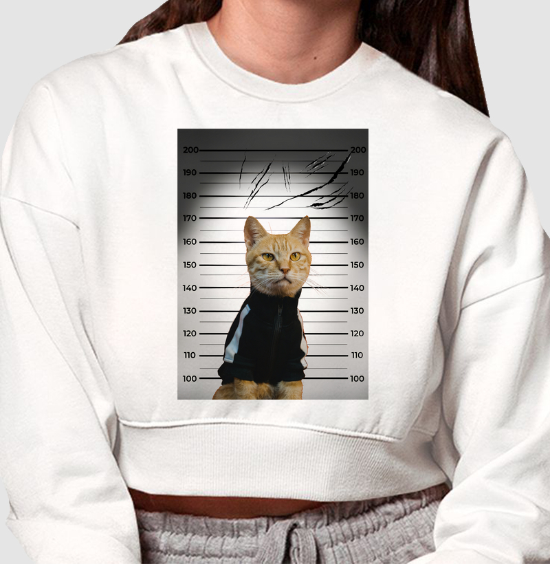 SUSPEITO DE ARRANHAR SOFÁ