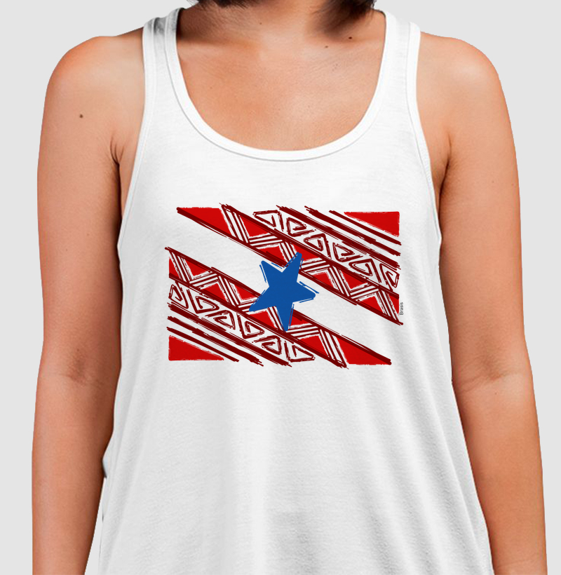 Bandeira do Pará Grafismo