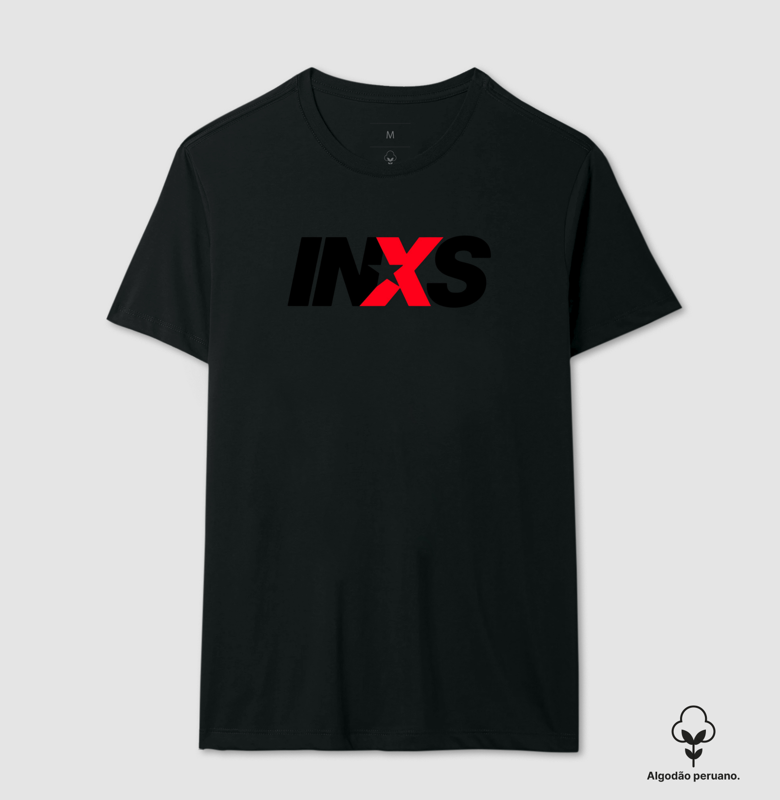 INXS