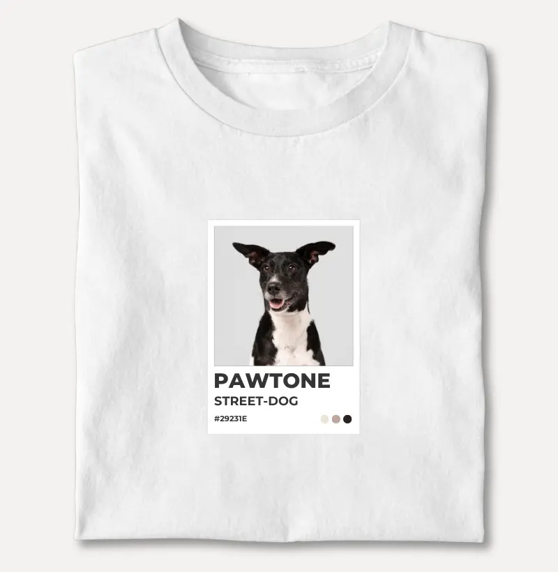 Pawtone Street-dog