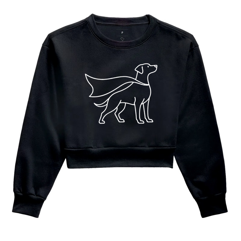 Dog Super Herói