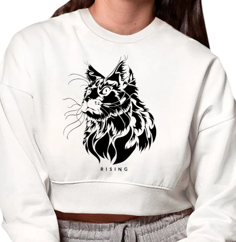 Curious Cat - Rising