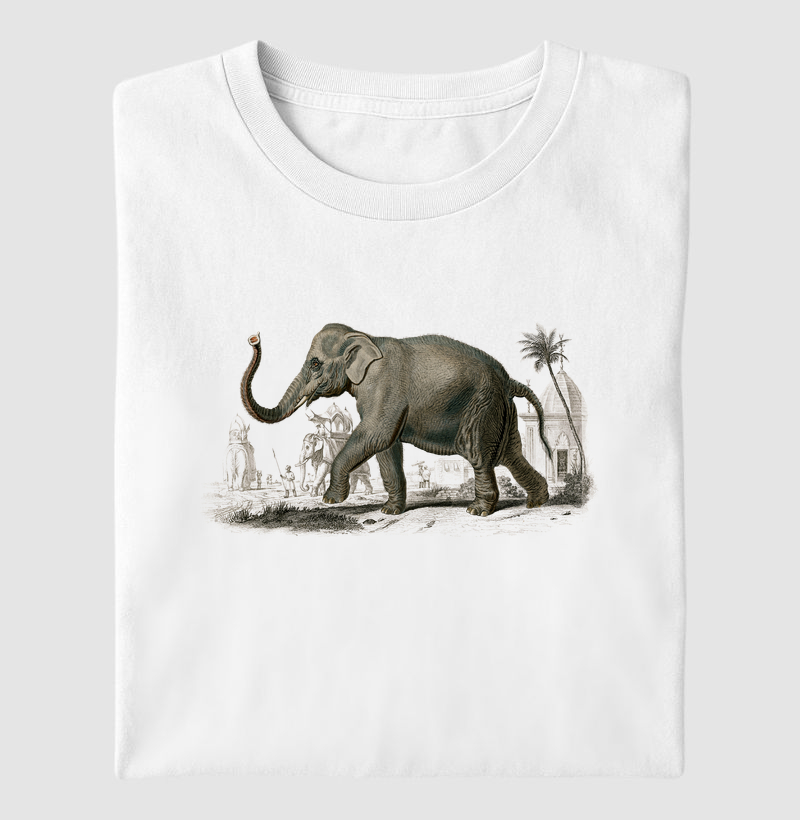 Elefante-asiático