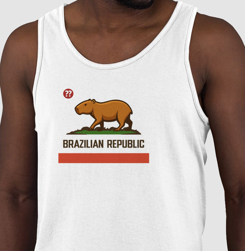 BRAZILIAN REPUBLIC 