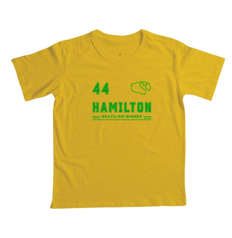Lewis Hamilton Brazilian Winner