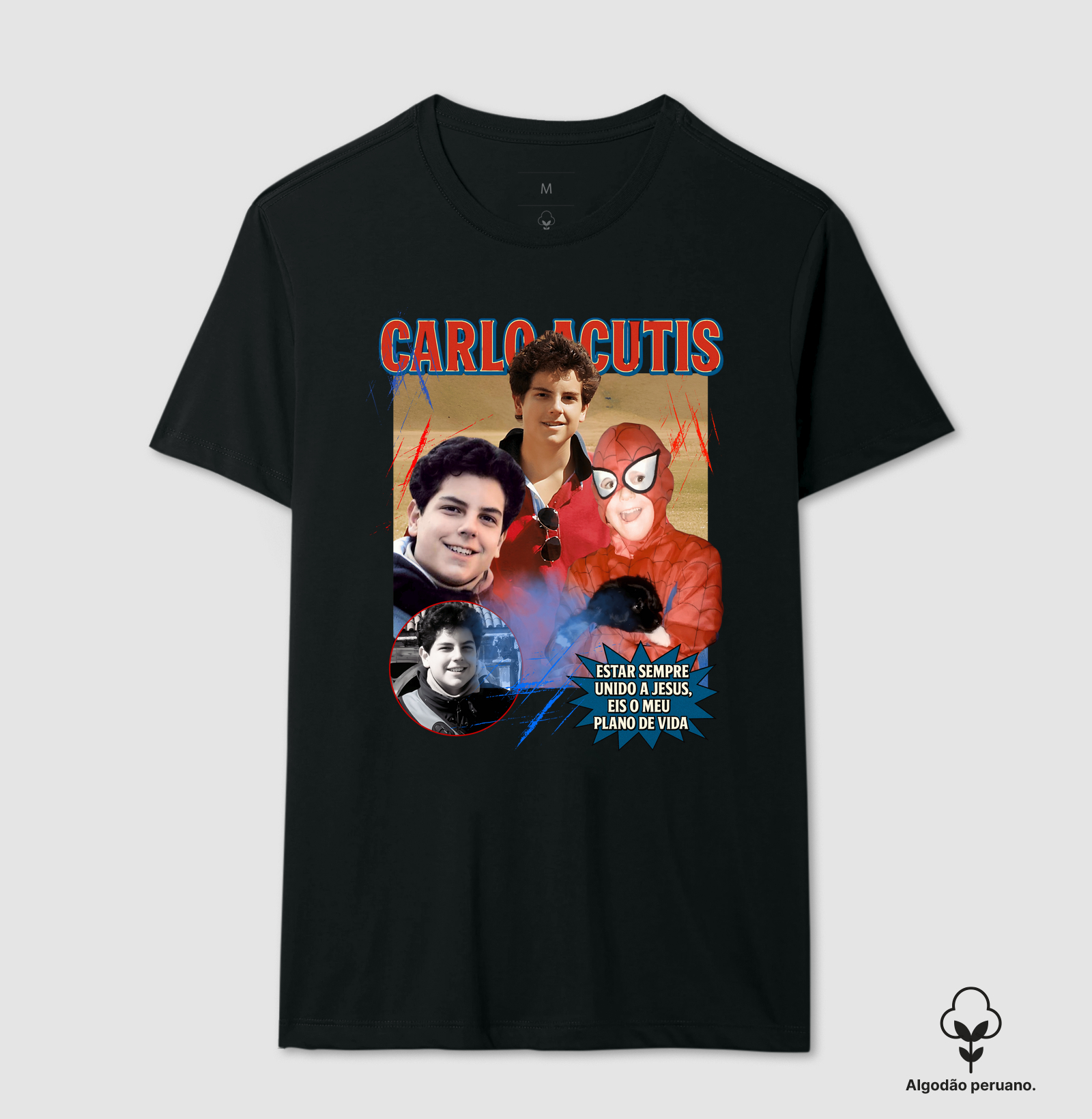 Carlo Acutis - Estilo