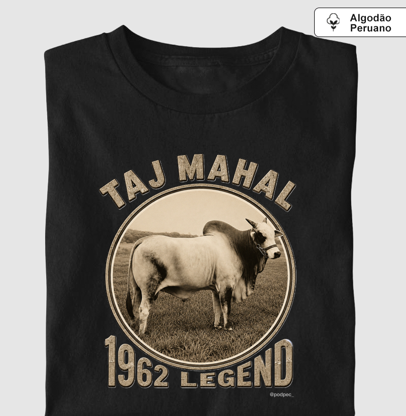 Taj Mahal - 1962 Legend