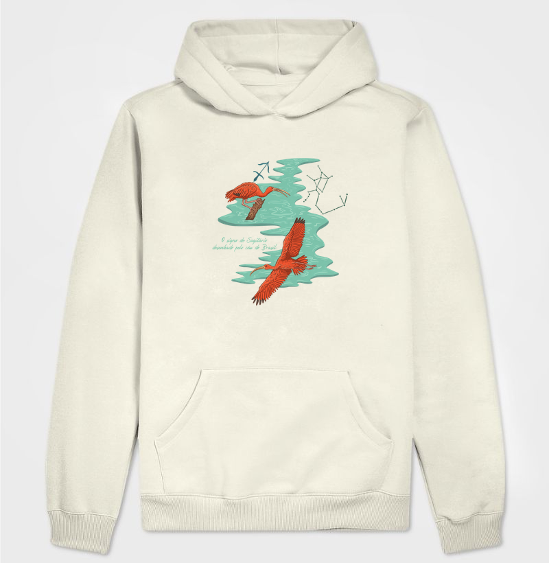 Sagitário pelo céu do Brasil