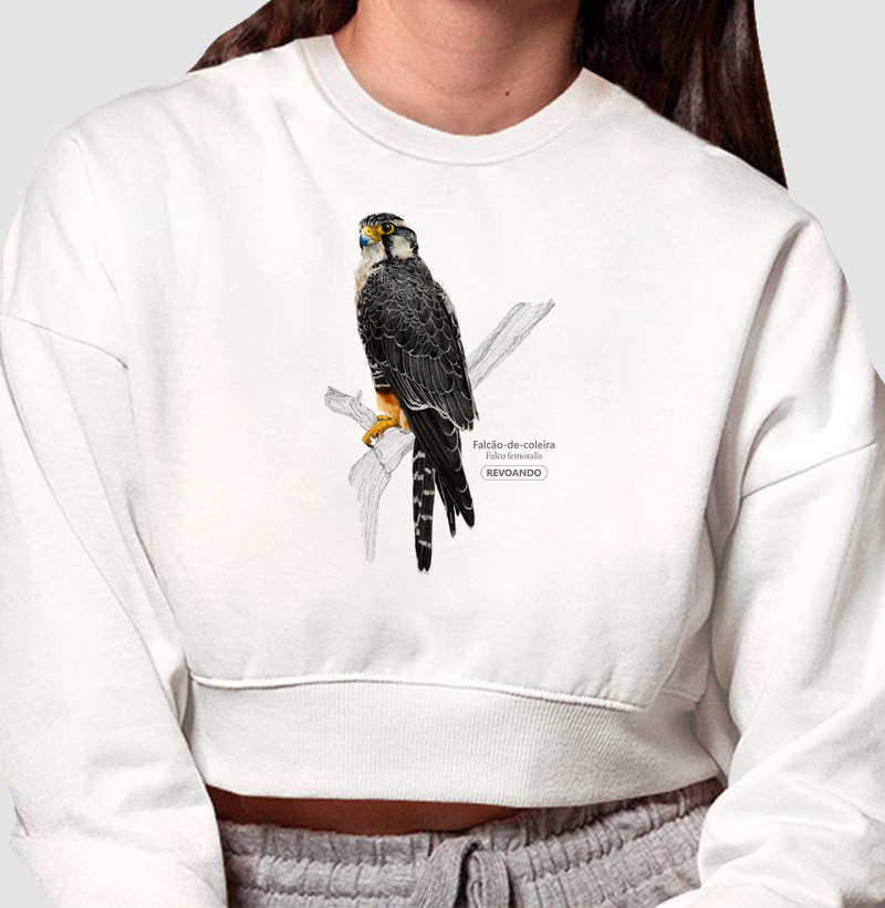 Aves do Brasil - Falcão de Coleira - Moletom Cropped