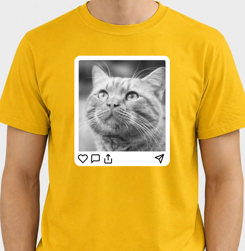 Purrfect Post - Opção Orange Cat