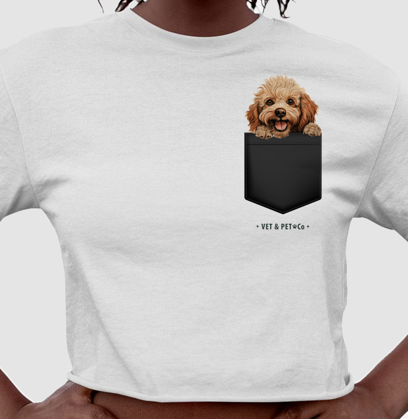 Cachorro de bolso (Poodle Toy)