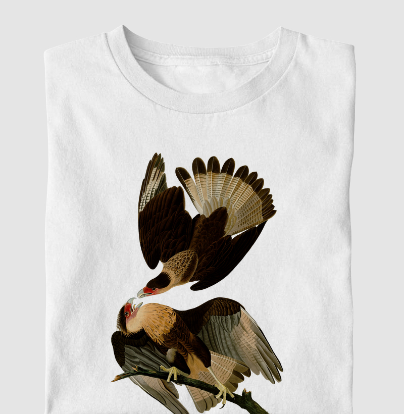 Camiseta Carcará Brasileiro — Audubon