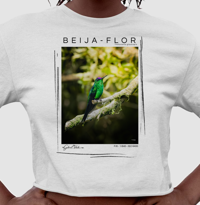 Beija Flor de fronte Violeta