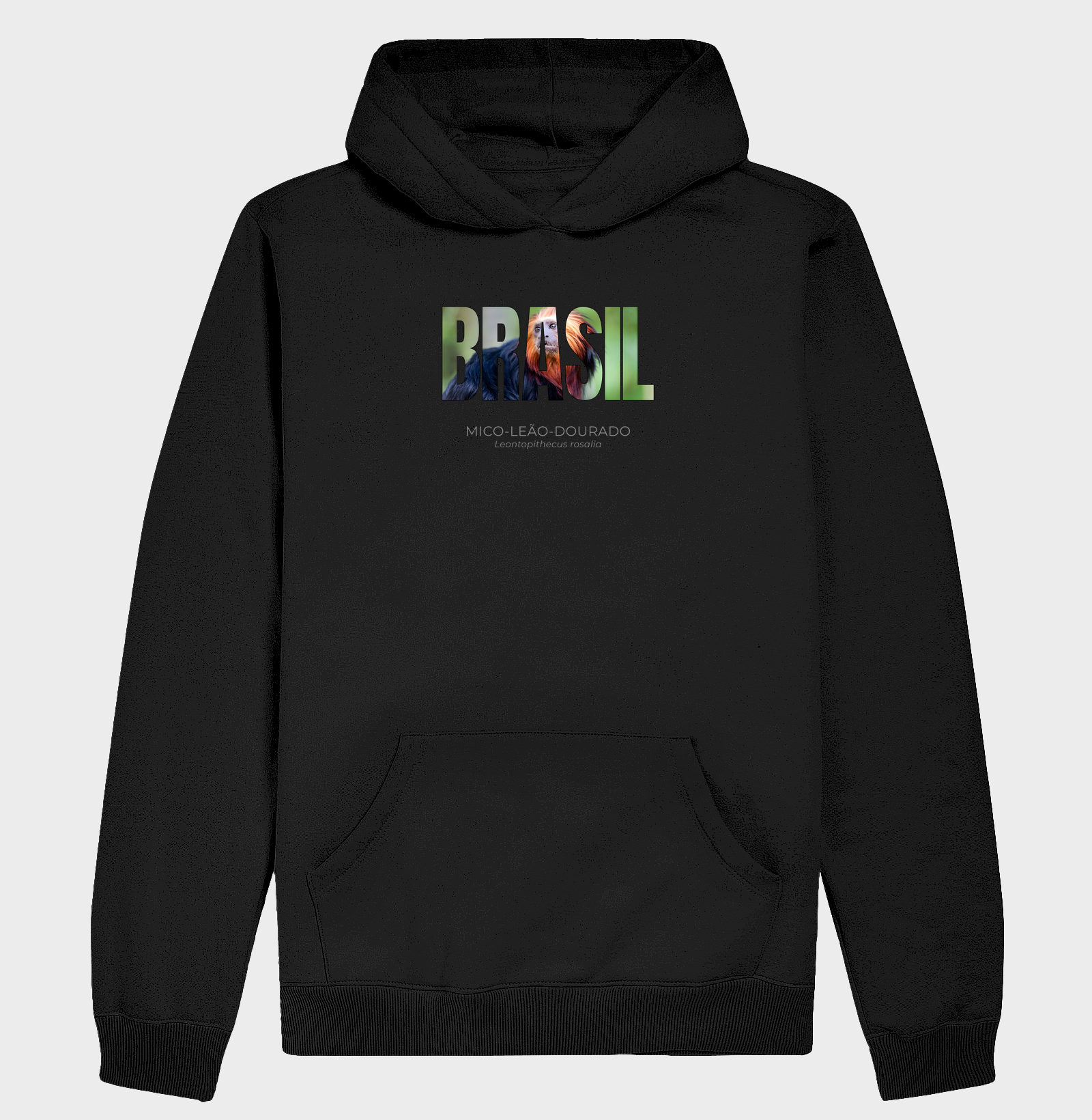 Animais do Brasil – Mico-leão-dourado