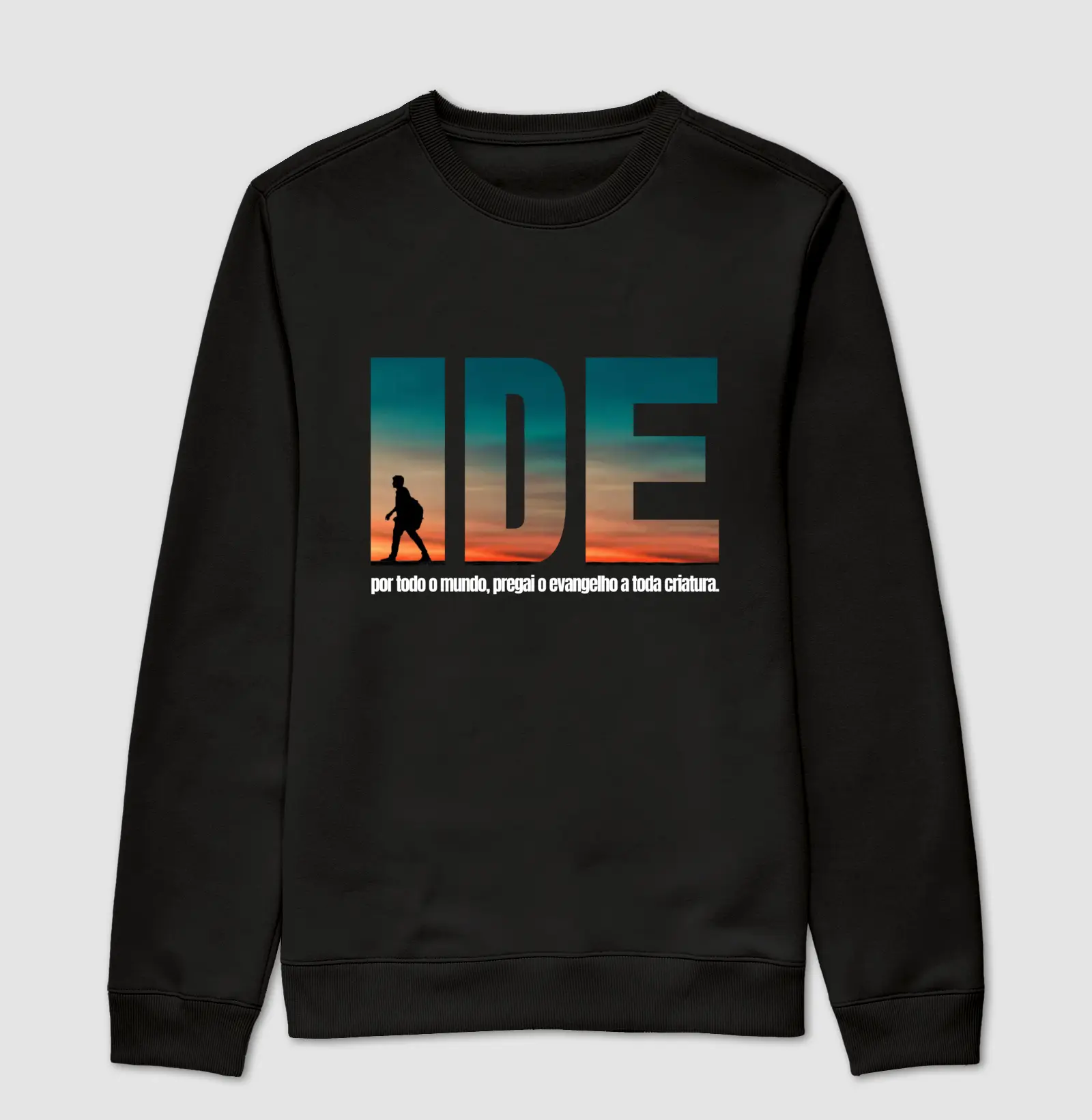 Ide MS