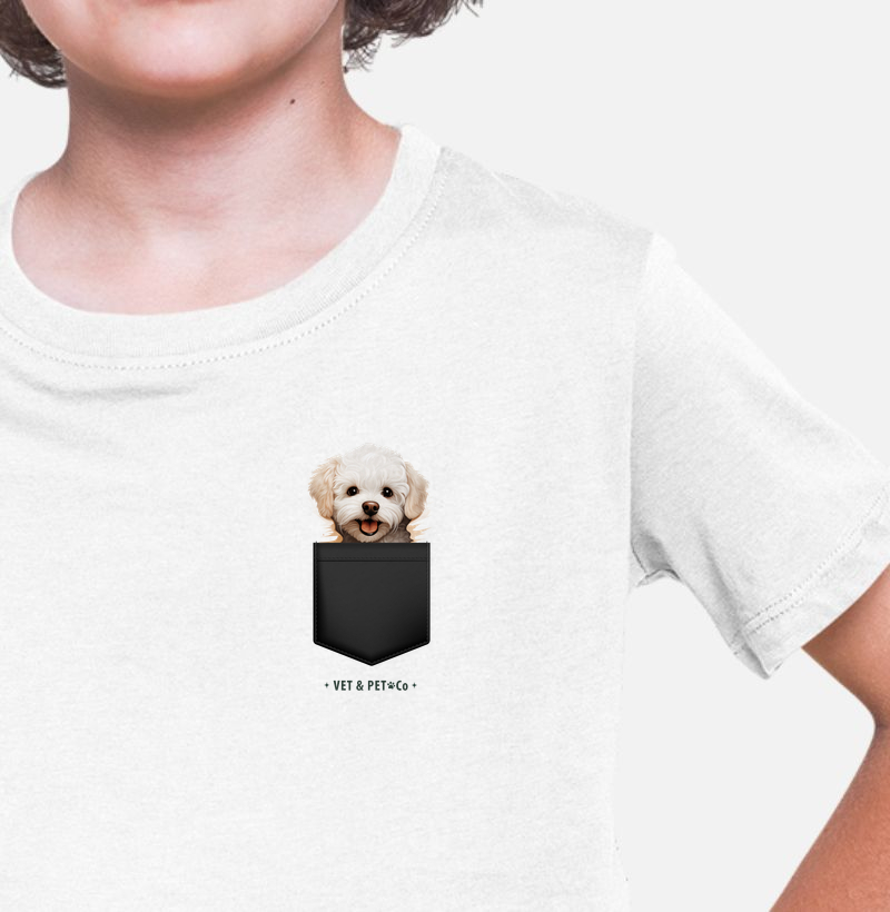 Cachorro de bolso (Bichon Frisé)