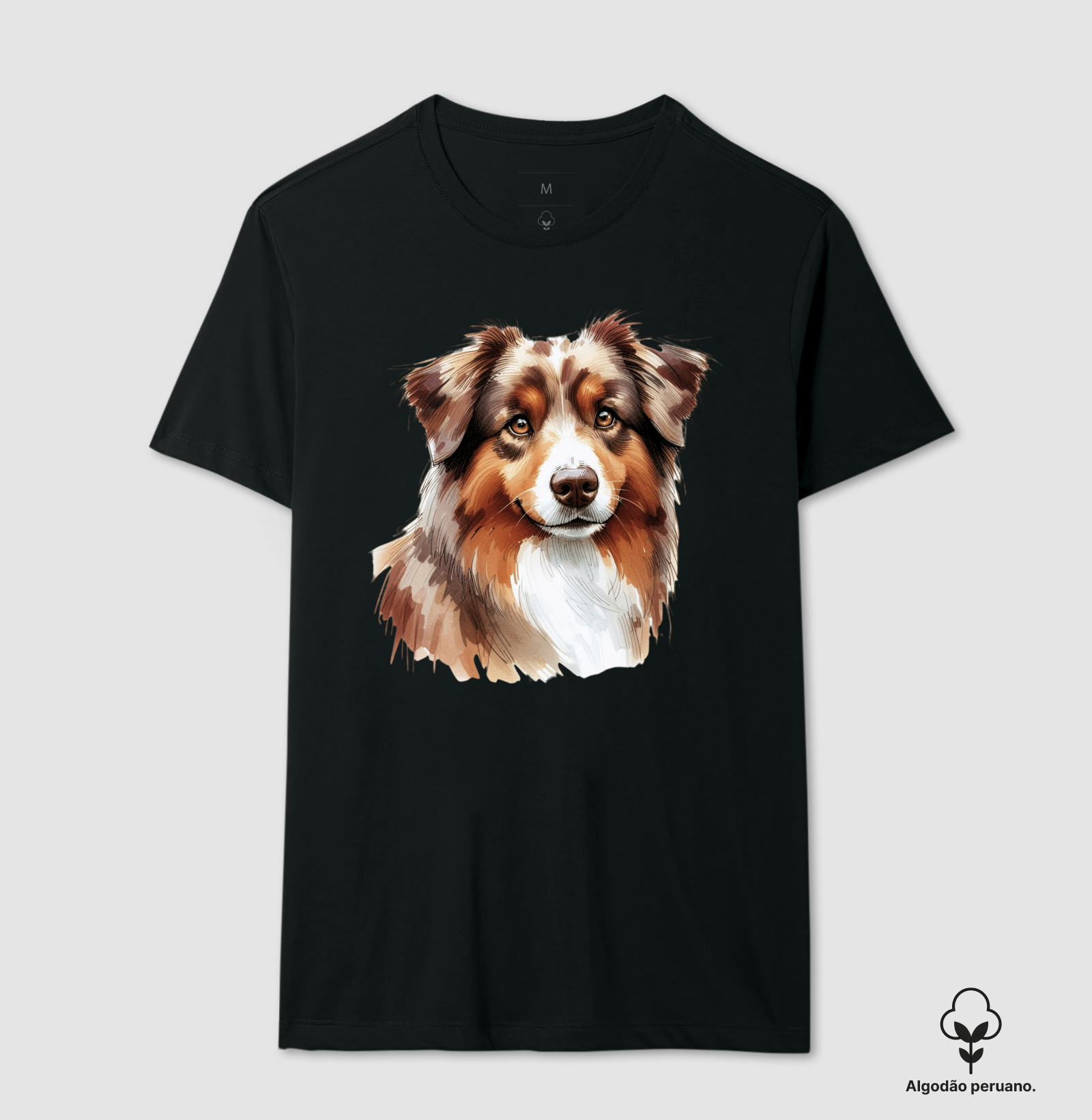 Australian Shepherd Red Merle 03