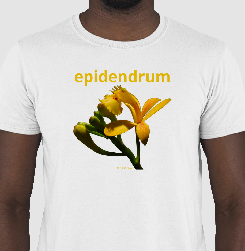 Orquidea Epidendrum