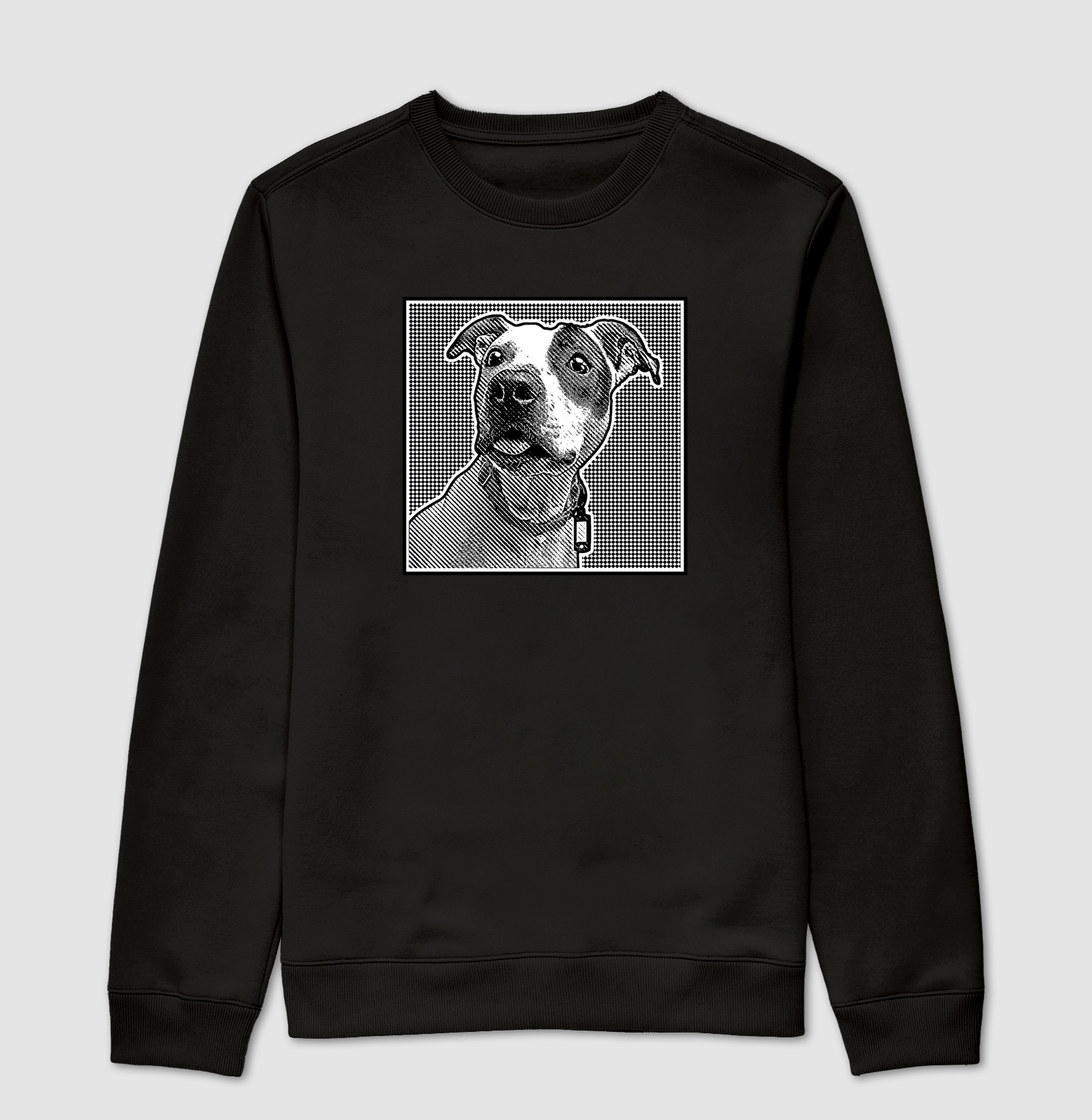 Pit Bull no estilo minimalista