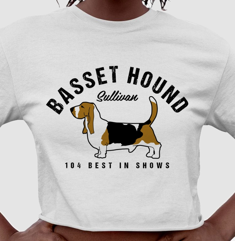 Basset Hound Sullivan